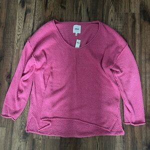NWT Aerie Oversized Sweater